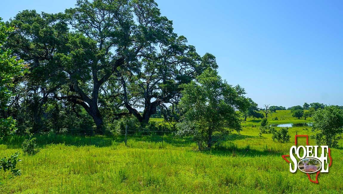 Hallettsville, Lavaca County, TX Farms and Ranches for sale Property ID