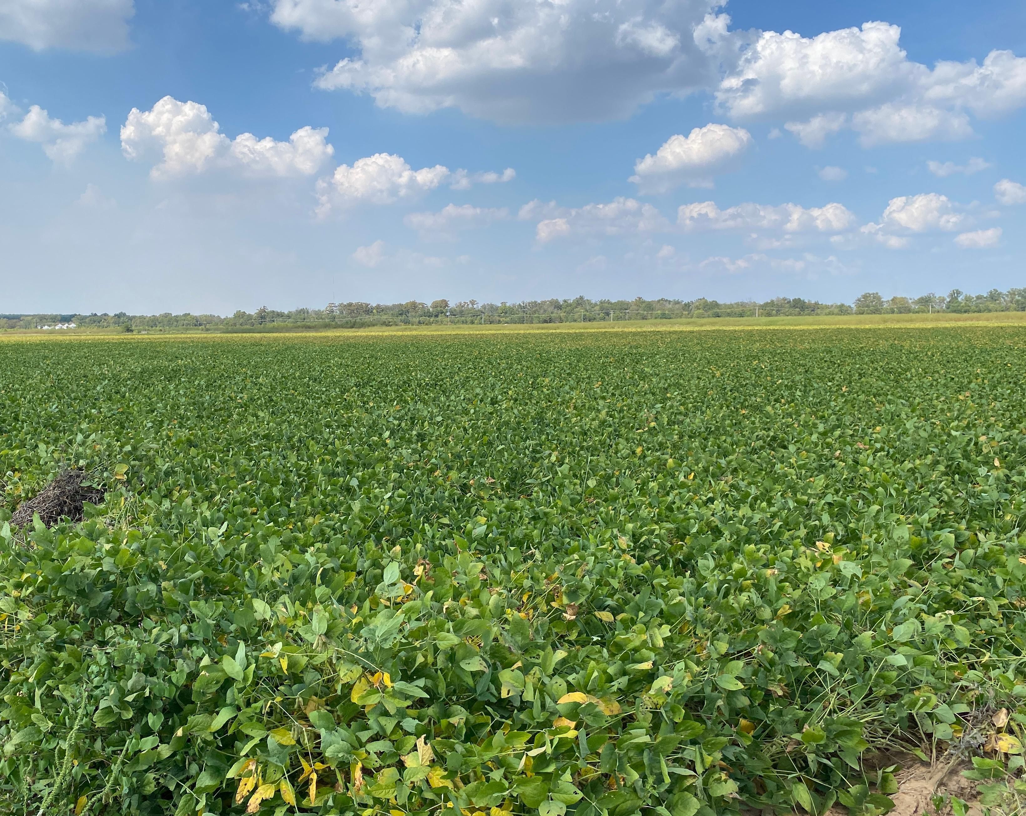 84 acres in Humnoke, AR, 72072 LandWatch