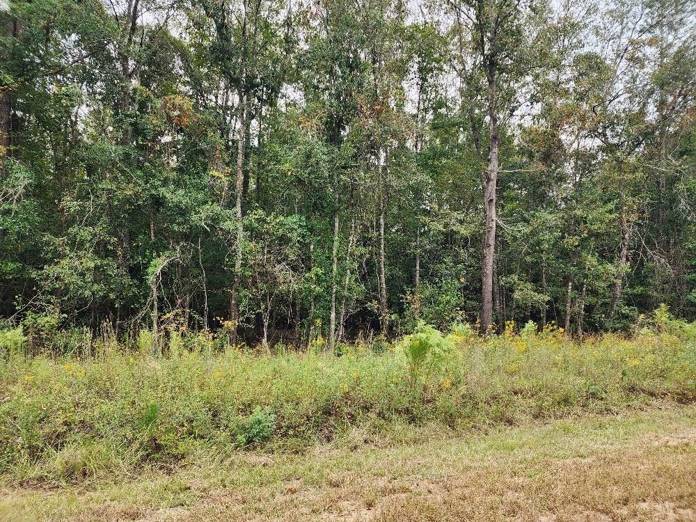 Cusseta, Chattahoochee County, GA Undeveloped Land for sale Property ID