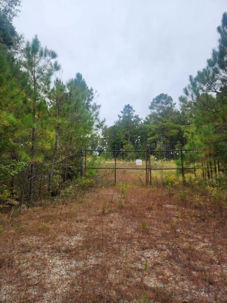 Cusseta, Chattahoochee County, GA Undeveloped Land for sale Property ID