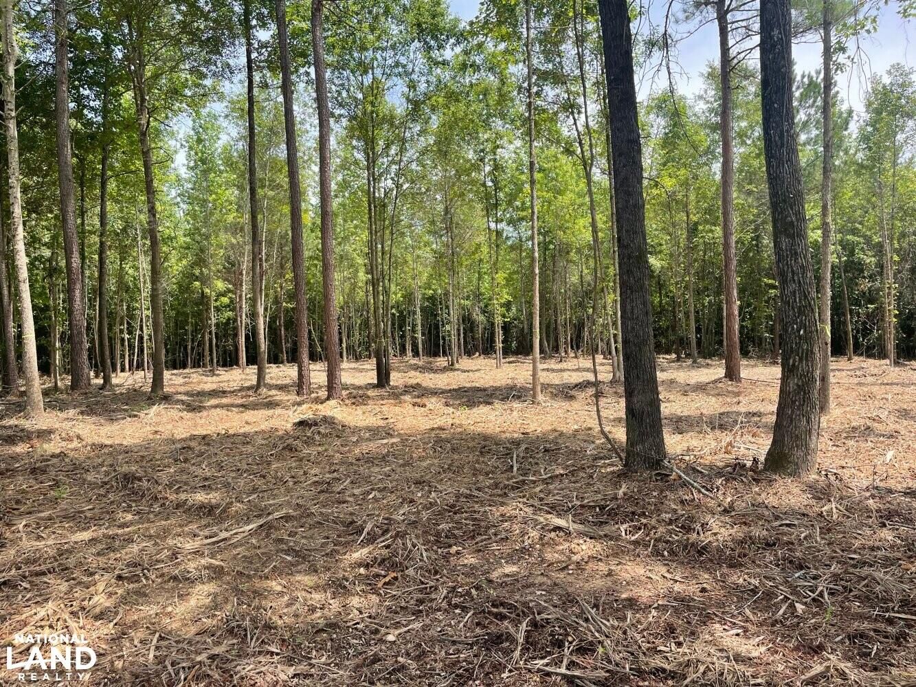 County Road 50, Fayette, AL 35555 LandWatch