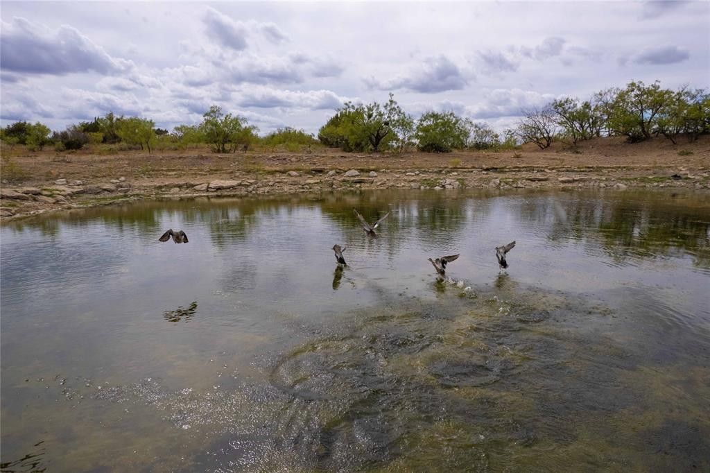 Talpa, Coleman County, TX Farms and Ranches for sale Property ID