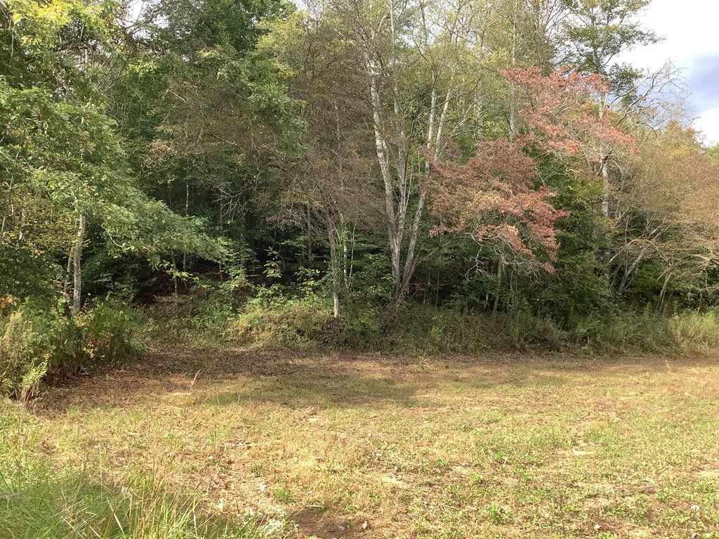 Barbourville, Knox County, KY Undeveloped Land for sale Property ID 417969879 LandWatch