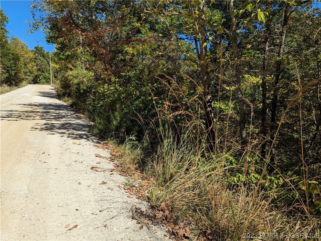 County, MO Undeveloped Land for sale Property ID