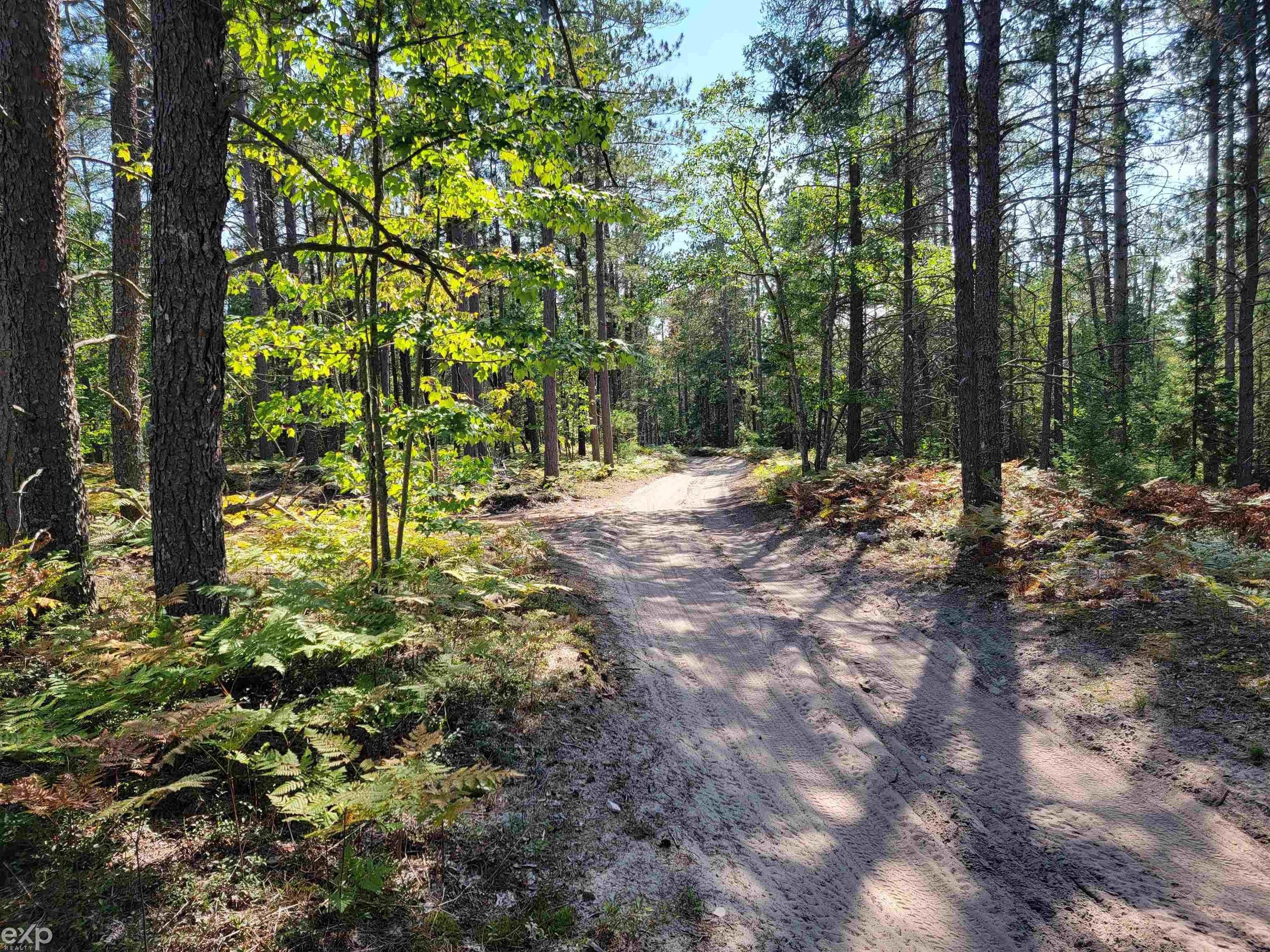 Paradise, Chippewa County, MI Undeveloped Land, Homesites for sale