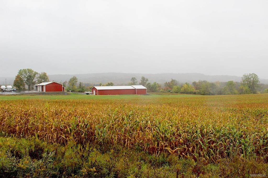 West Valley, Cattaraugus County, NY Undeveloped Land for sale Property