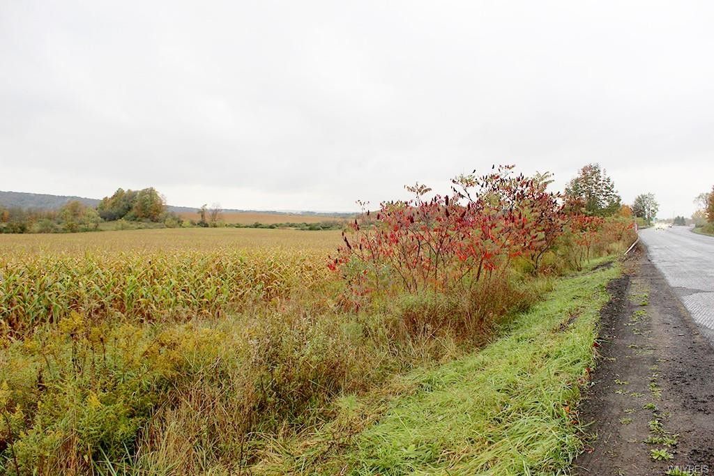 West Valley, Cattaraugus County, NY Undeveloped Land for sale Property