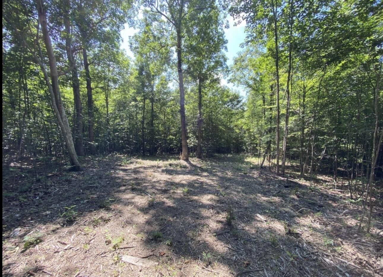 Greensburg, Green County, KY Undeveloped Land for sale Property ID