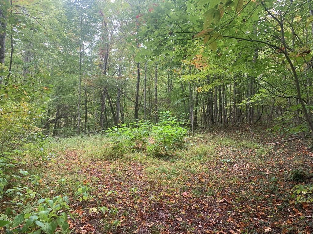 Bryson City, Swain County, NC Undeveloped Land, Homesites for sale