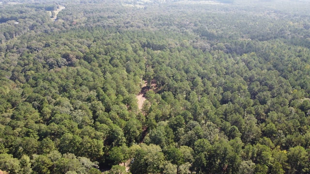 Bernice, Union Parish, LA Recreational Property, Undeveloped Land