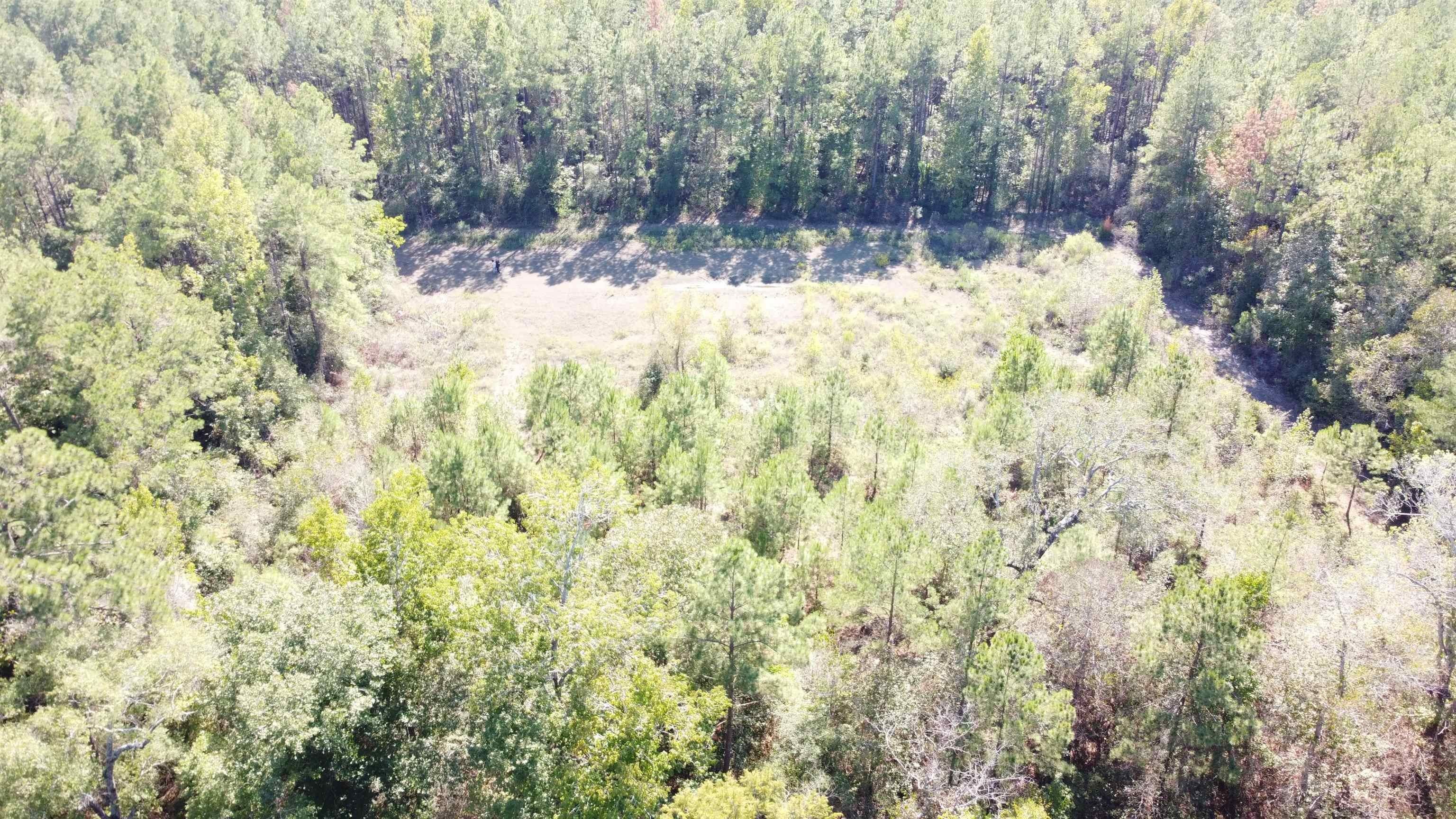 Call, Newton County, TX Undeveloped Land for sale Property ID 417973194 LandWatch