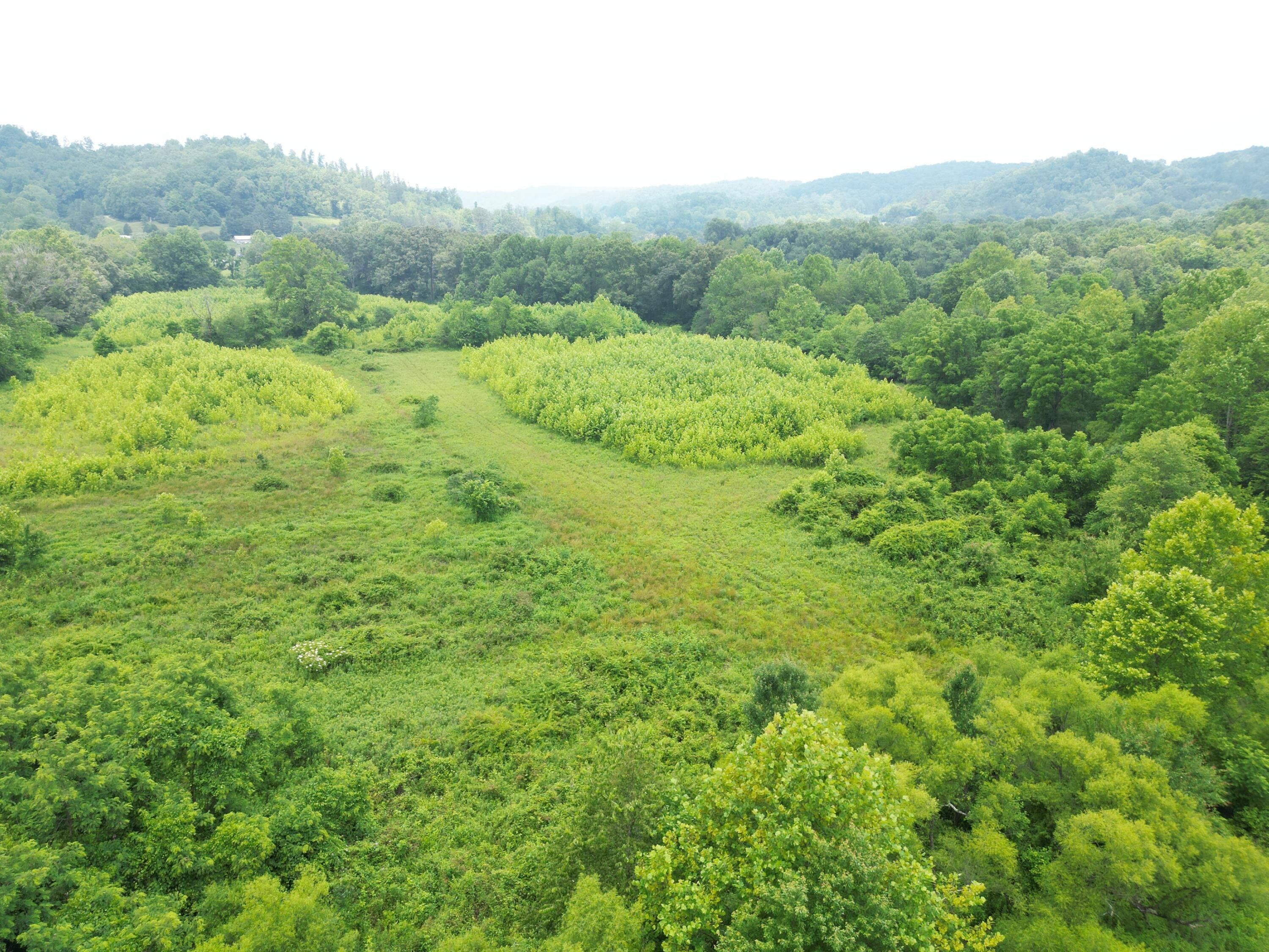 Manchester, Clay County, KY Farms and Ranches for sale Property ID 417973918 LandWatch