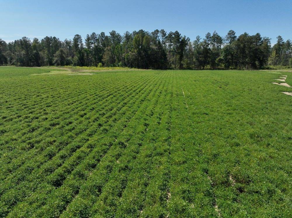 Taylorsville, Smith County, MS Farms and Ranches, House for sale