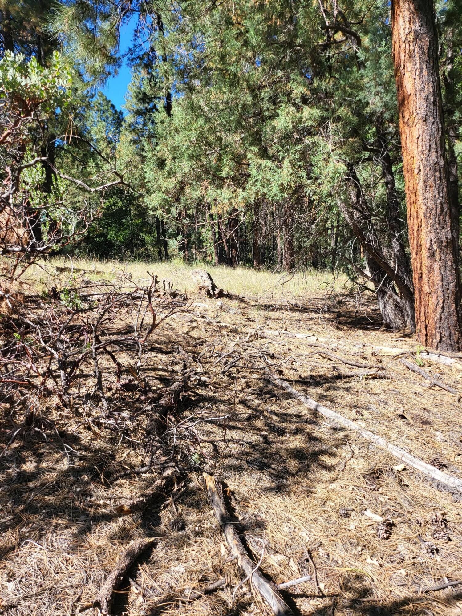 Strawberry, Gila County, AZ Undeveloped Land, Homesites for sale