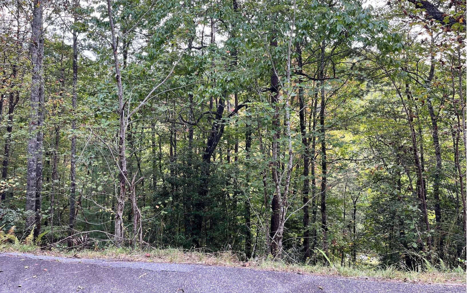 Brasstown, Clay County, NC Undeveloped Land, Homesites for sale