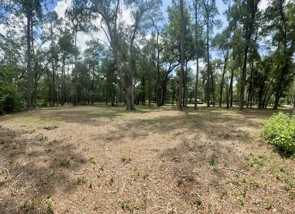 Bell, Gilchrist County, FL Undeveloped Land, Homesites for sale