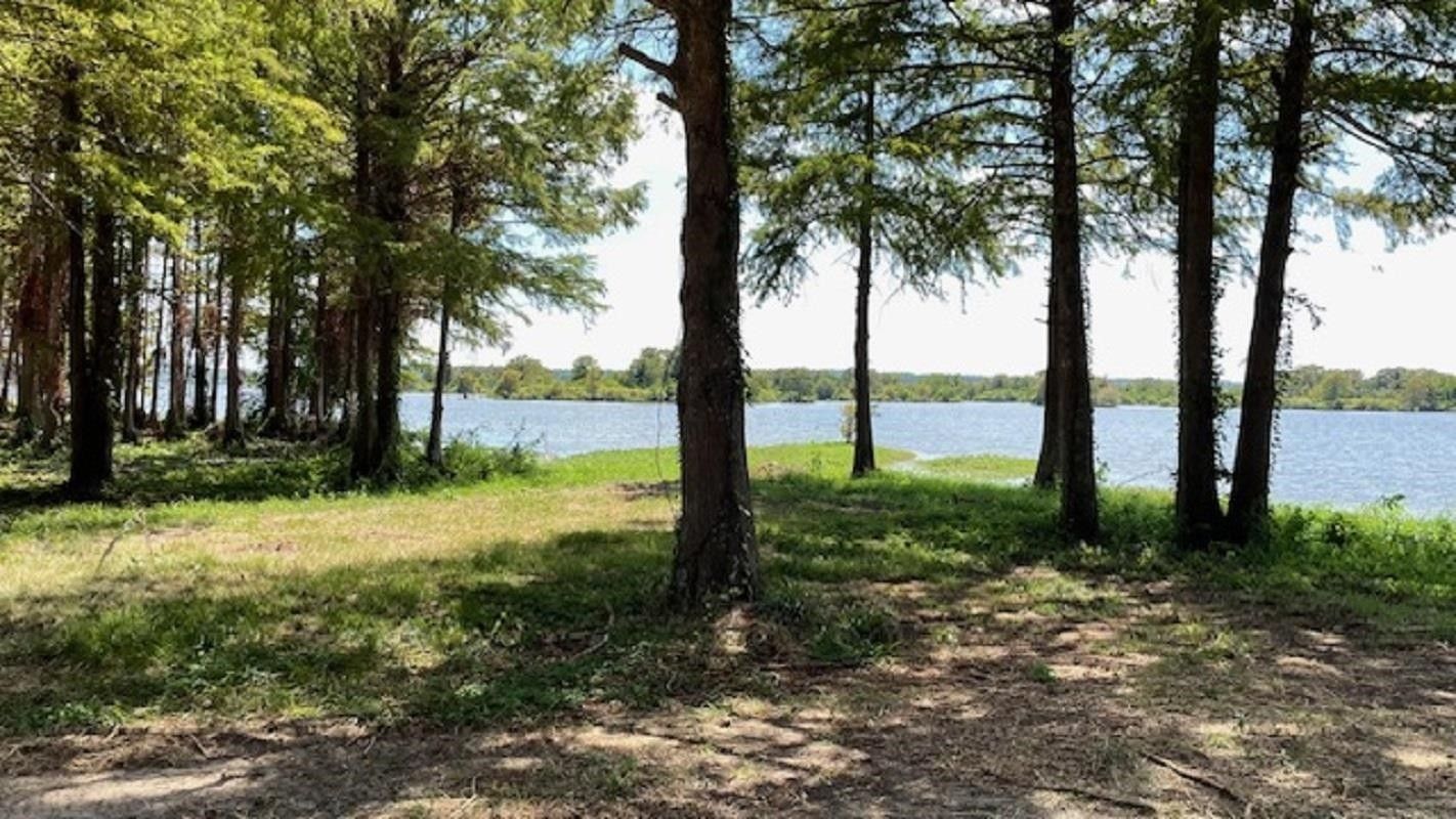 Milam, Sabine County, TX Undeveloped Land, Lakefront Property