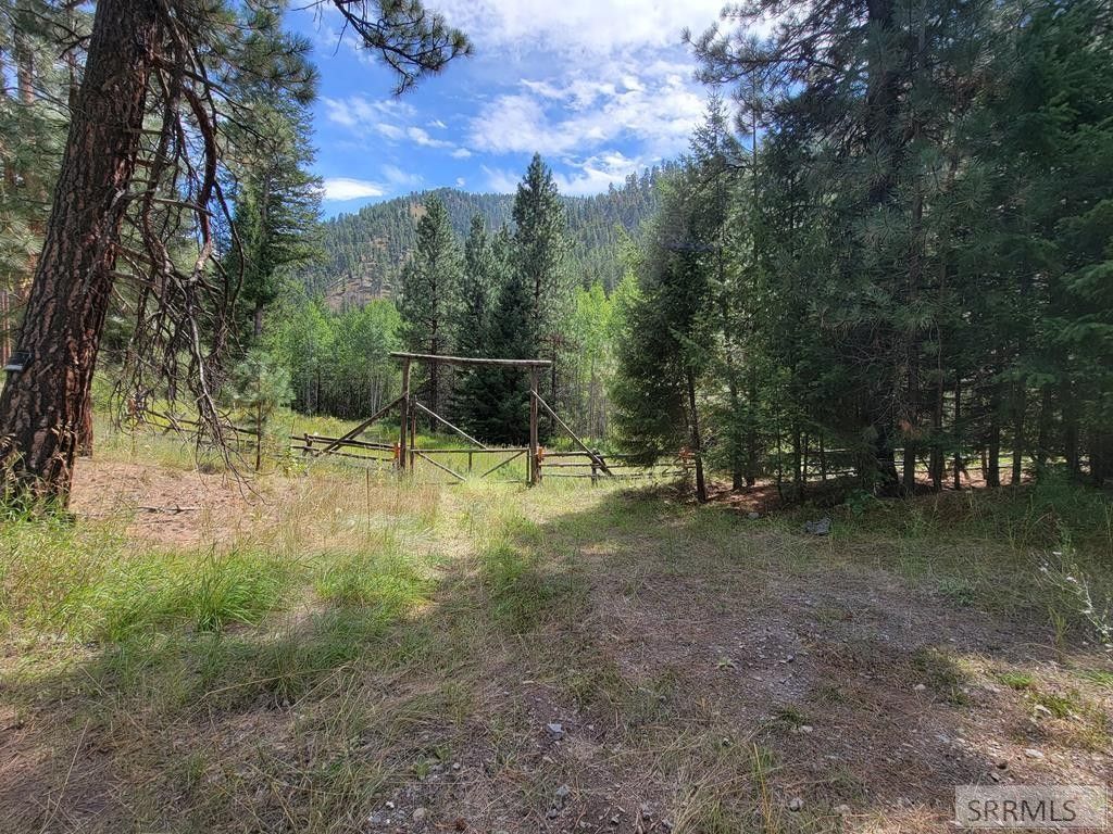 Nkn Dahlonega Creek Road, Gibbonsville, ID 83463 MLS 2161519 LandWatch