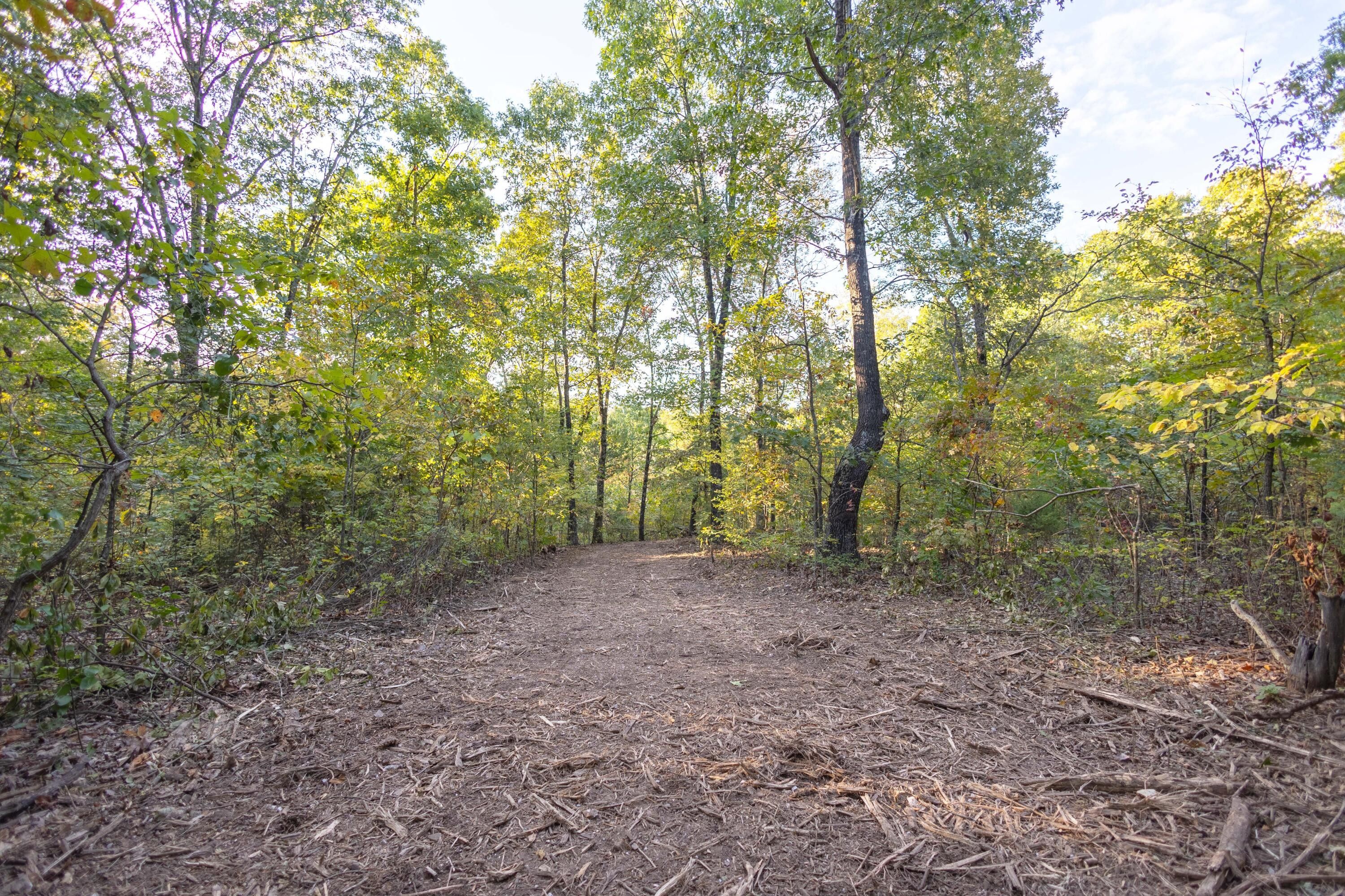 Purdy, Barry County, MO Undeveloped Land for sale Property ID
