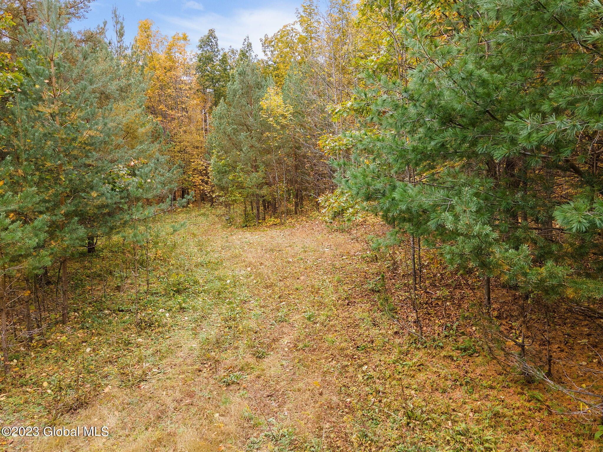 Richmondville, Schoharie County, NY Undeveloped Land for sale Property