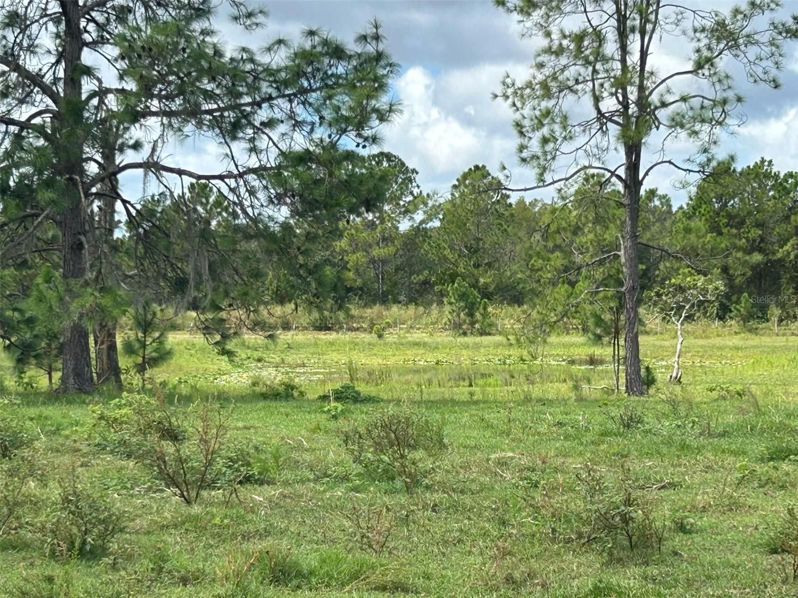 Groveland, Lake County, FL Undeveloped Land for sale Property ID