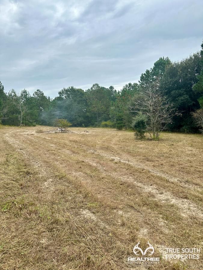 Salley, Aiken County, SC Recreational Property, Hunting Property, Horse