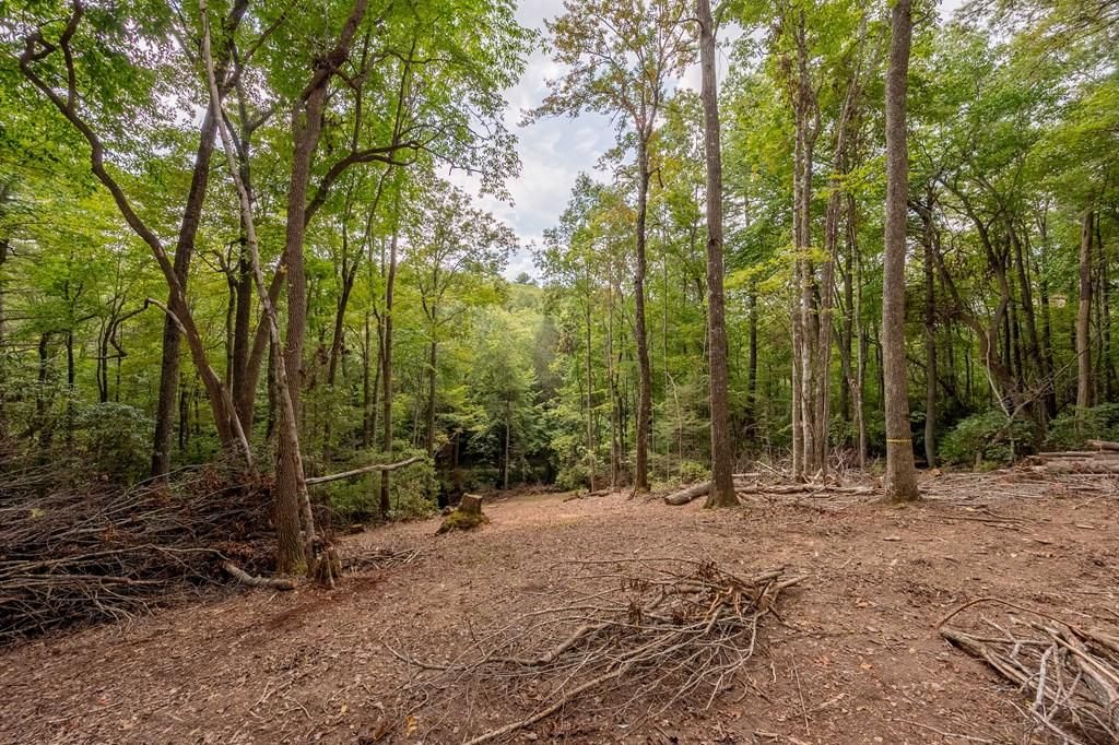 Bland, Bland County, VA Recreational Property, Undeveloped Land for