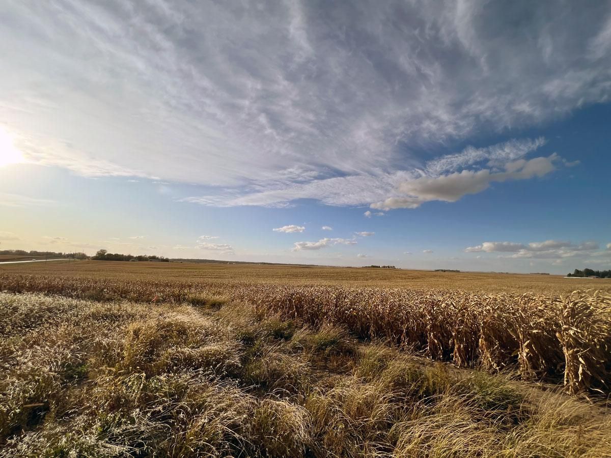Duncan, Hancock County, IA Farms and Ranches for auction Property ID