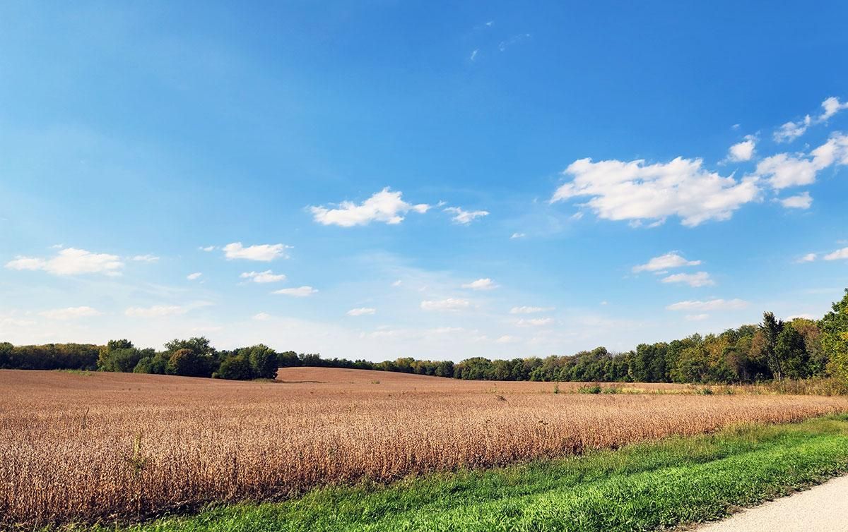 Coleta, Whiteside County, IL Farms and Ranches for sale Property ID