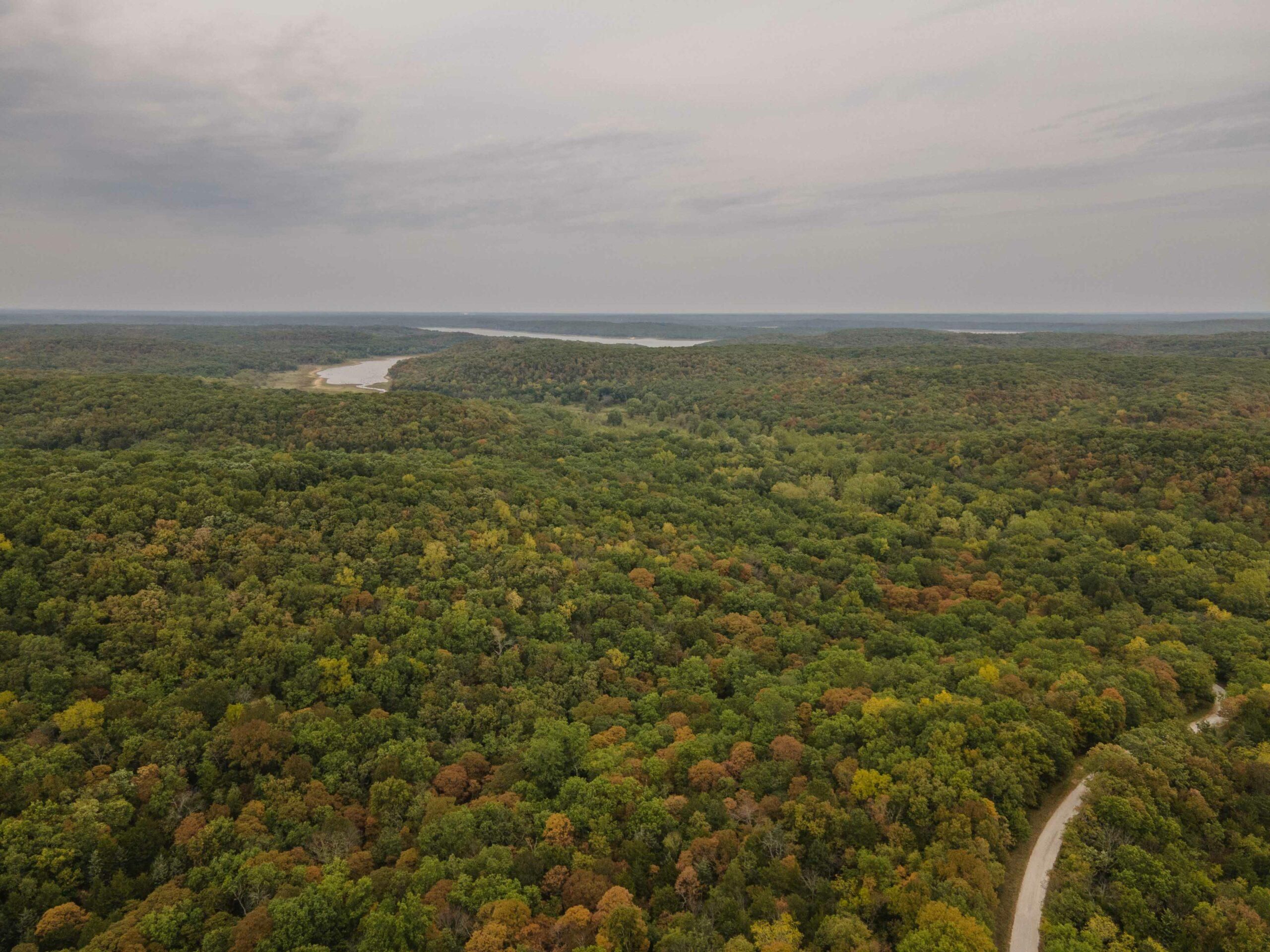 10205 NE 784 Rd, Lowry City, MO 64763 MLS Saint Clair 30 LandWatch