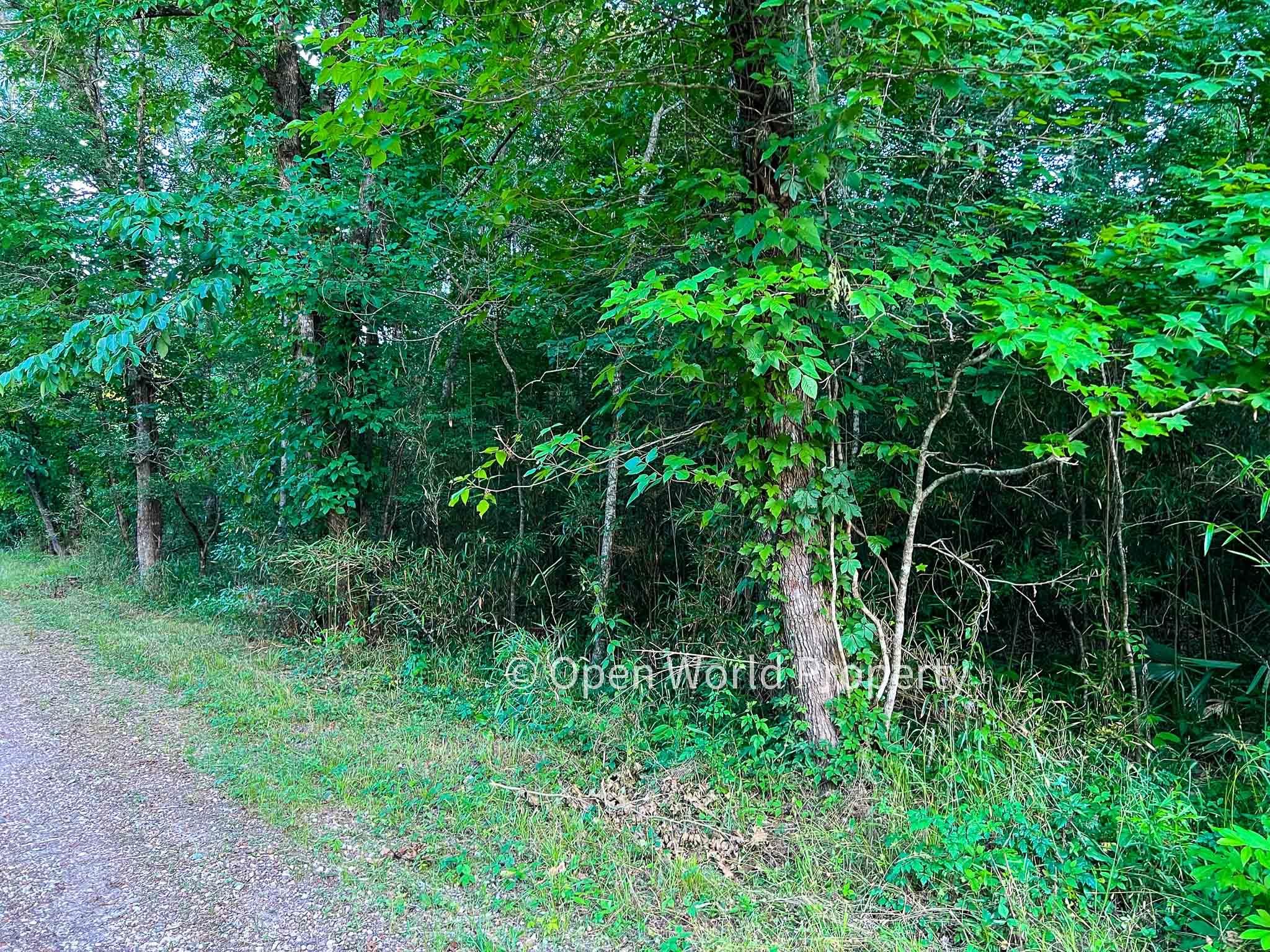 Hardin, Liberty County, TX Recreational Property, Undeveloped Land
