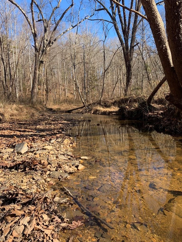 Brookneal, Campbell County, VA Undeveloped Land for sale Property ID