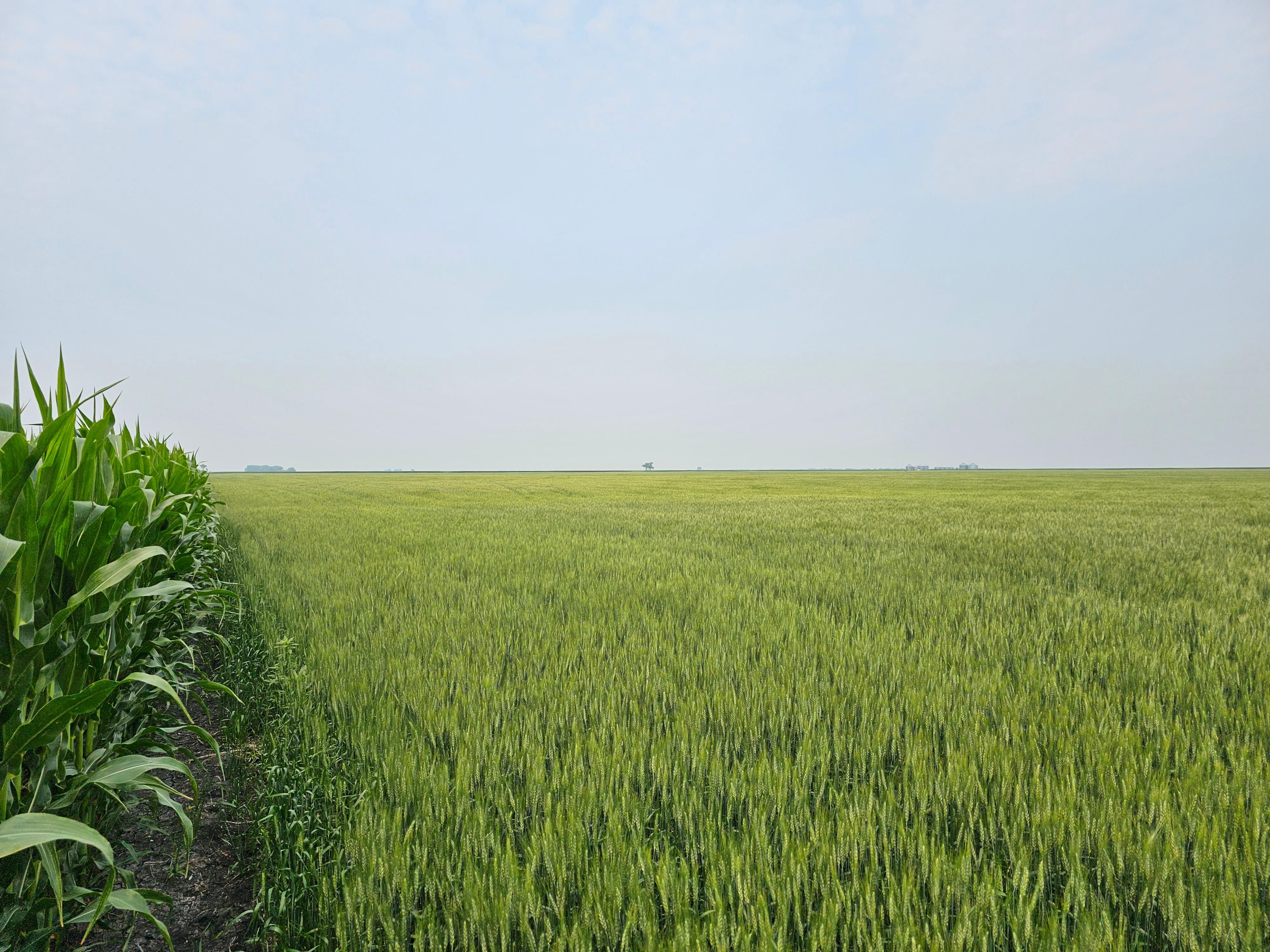 Beltrami, Polk County, MN Farms and Ranches for auction Property ID