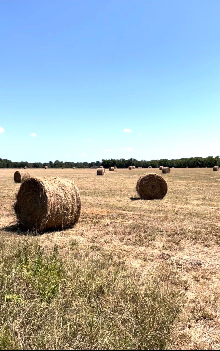 Milburn, Johnston County, OK Undeveloped Land for sale Property ID