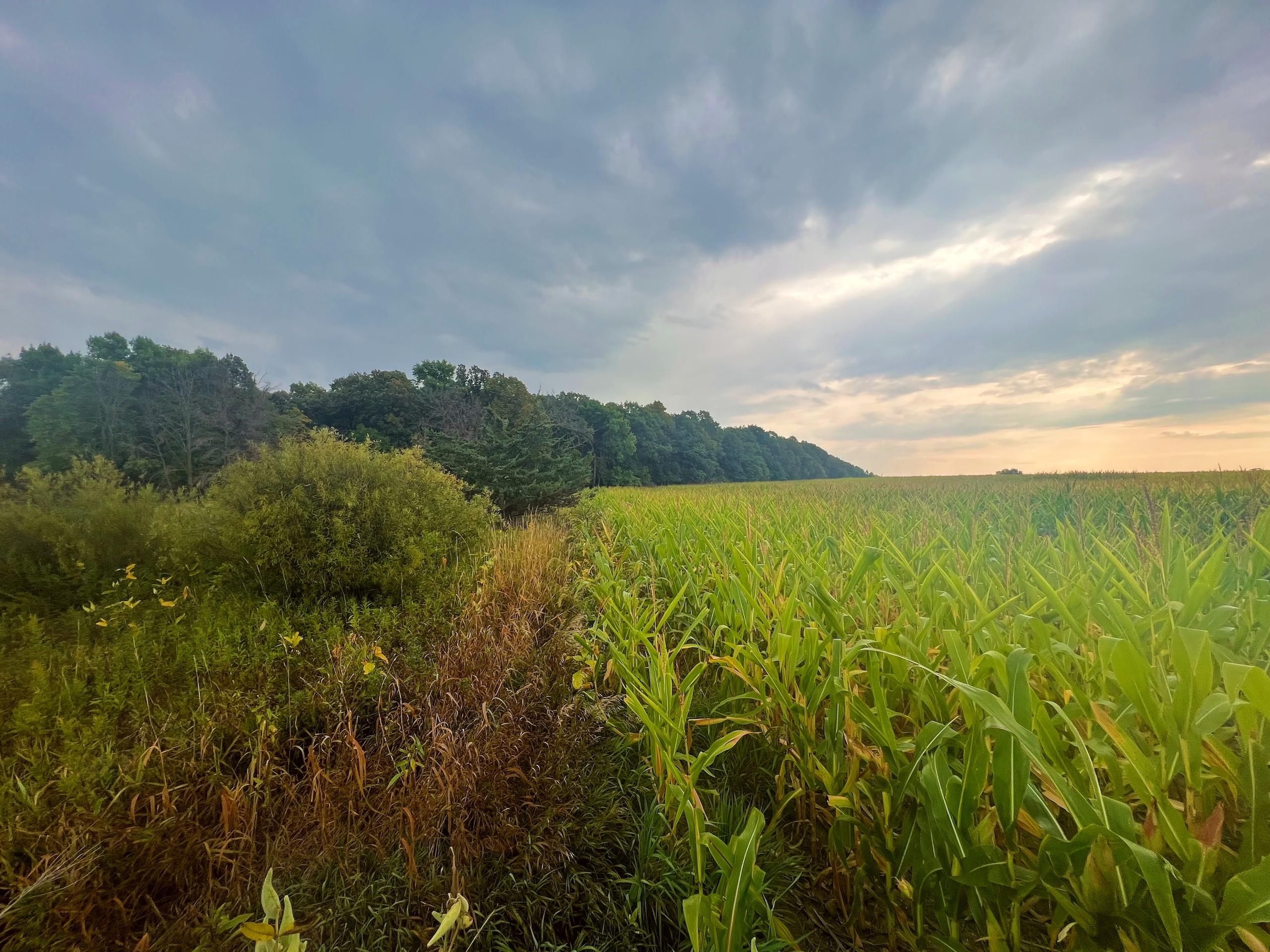 100th Avenue, Saint Joseph, MN 56374 LandWatch