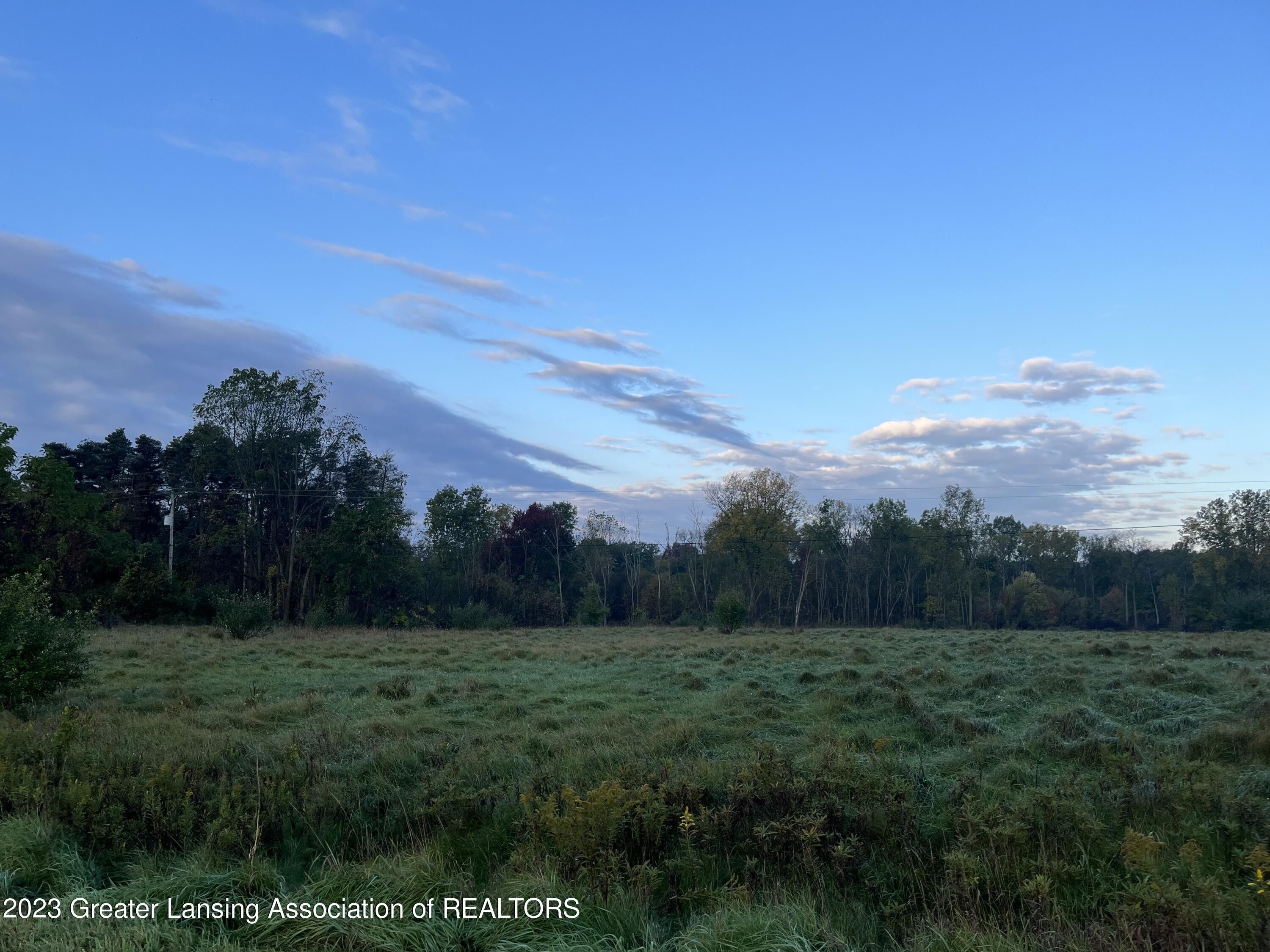 Laingsburg, Shiawassee County, MI Undeveloped Land for sale Property ID