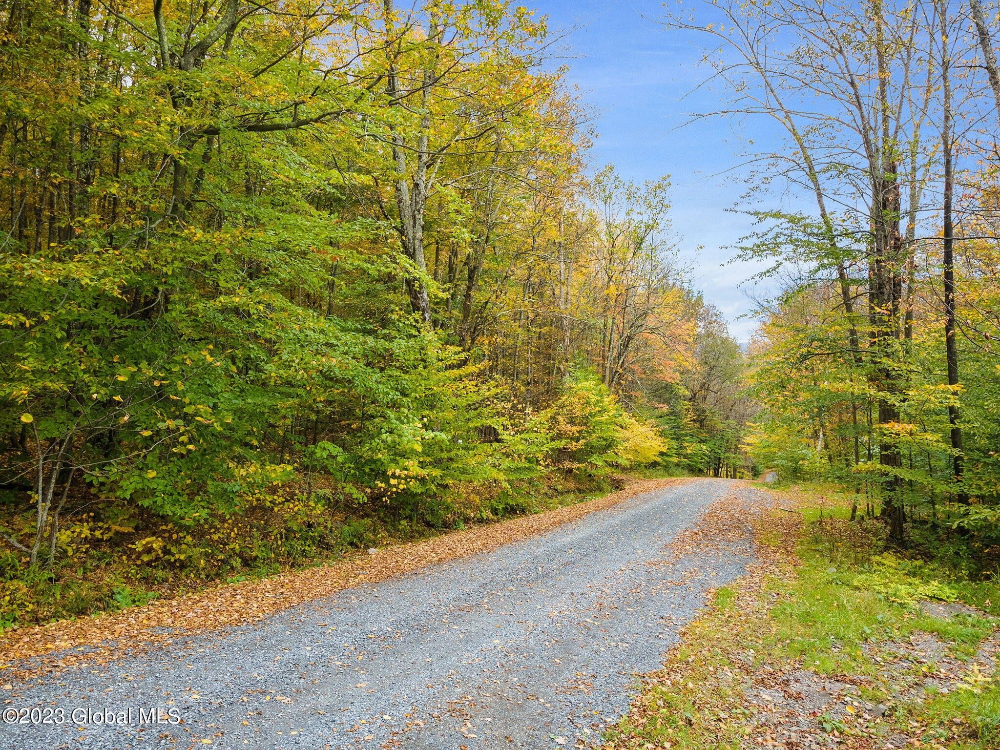 Conesville, Schoharie County, NY Undeveloped Land for sale Property ID