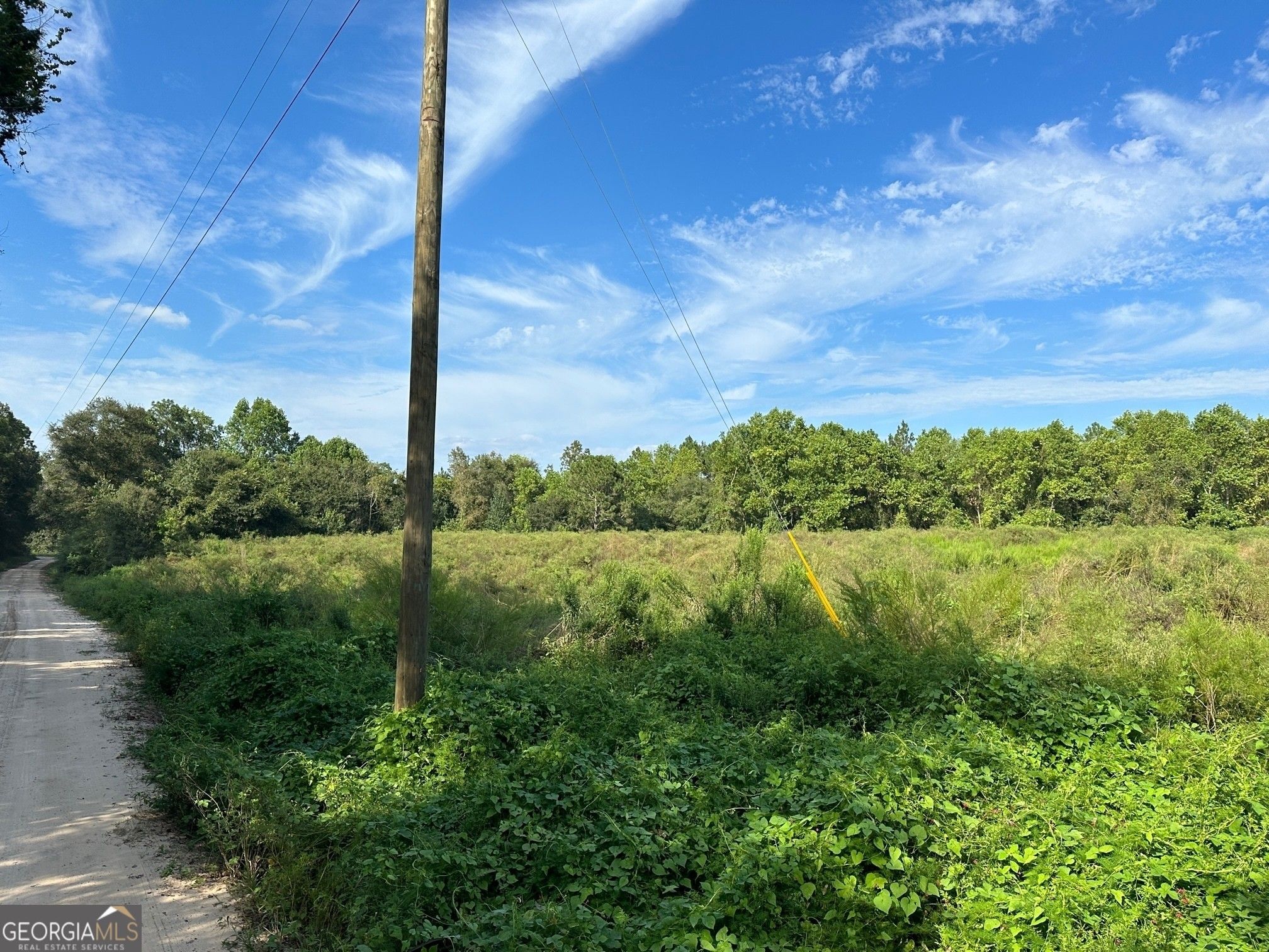 Alma, Bacon County, GA Farms and Ranches for sale Property ID