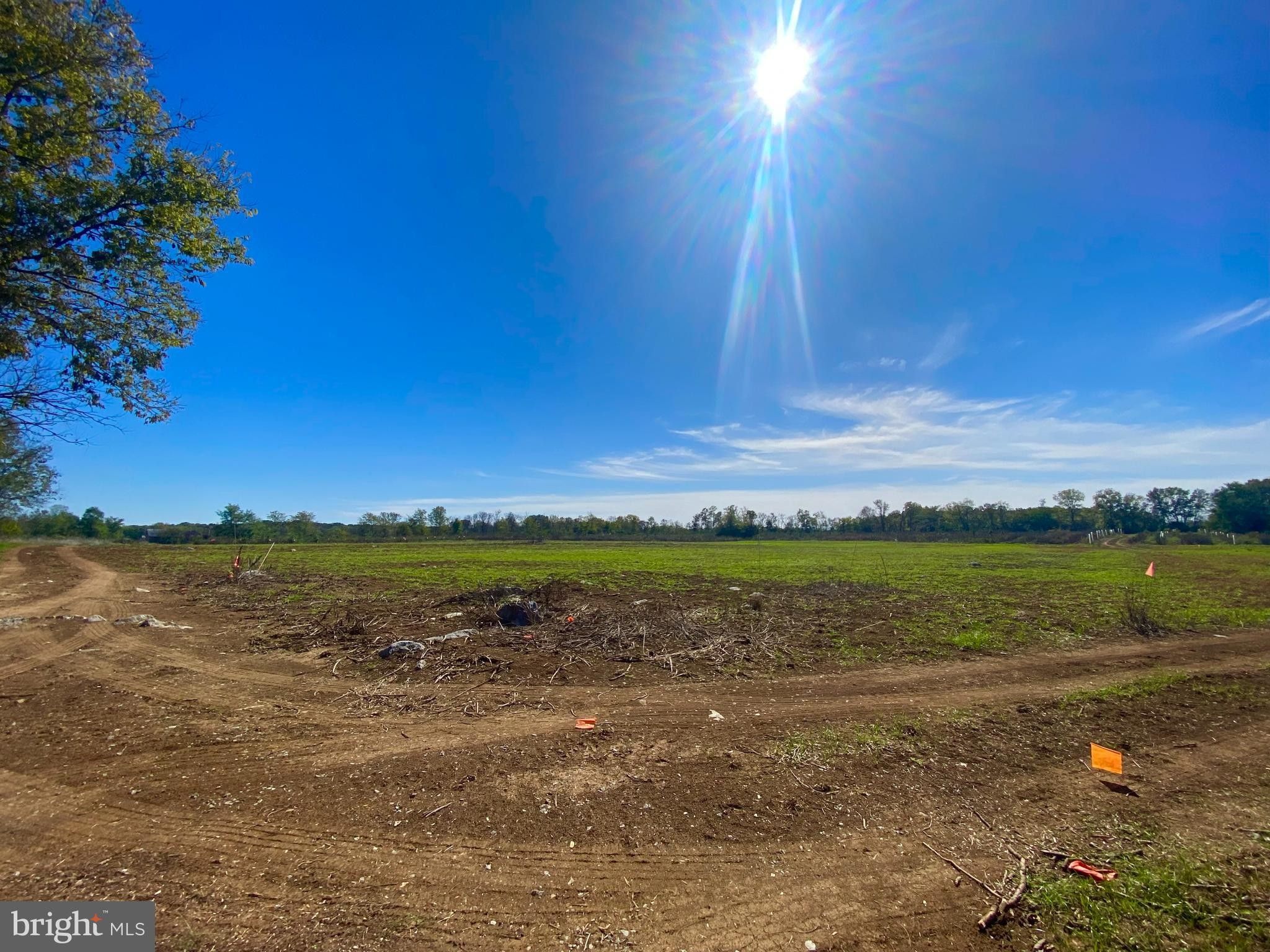 Berryville, Clarke County, VA Undeveloped Land for sale Property ID