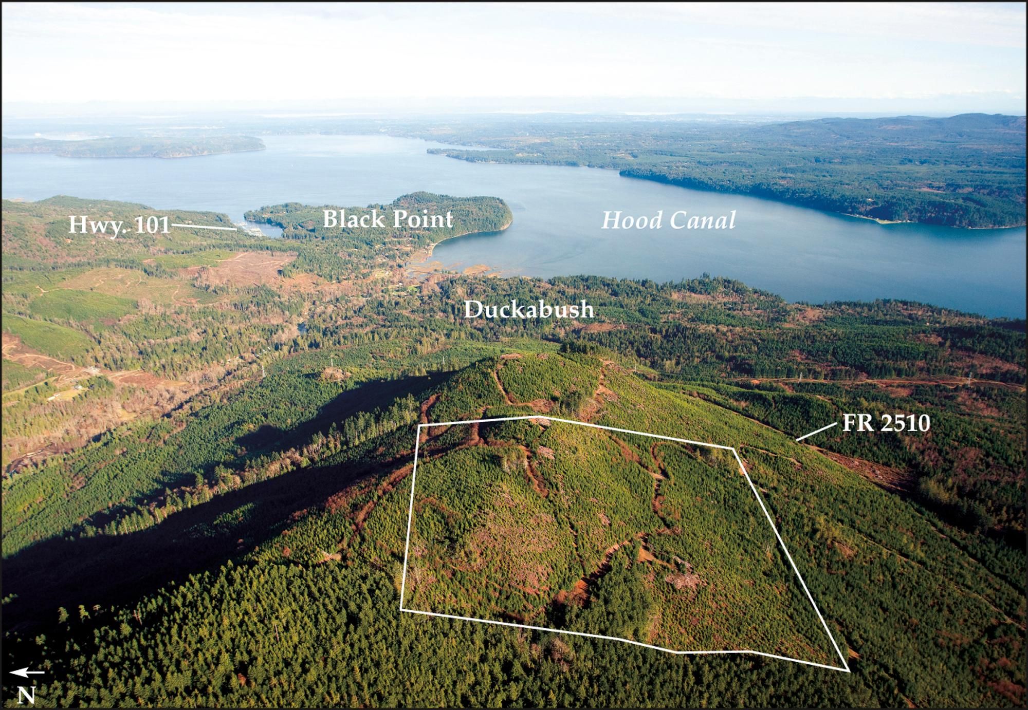 Brinnon, Jefferson County, WA Timberland Property for sale Property ID