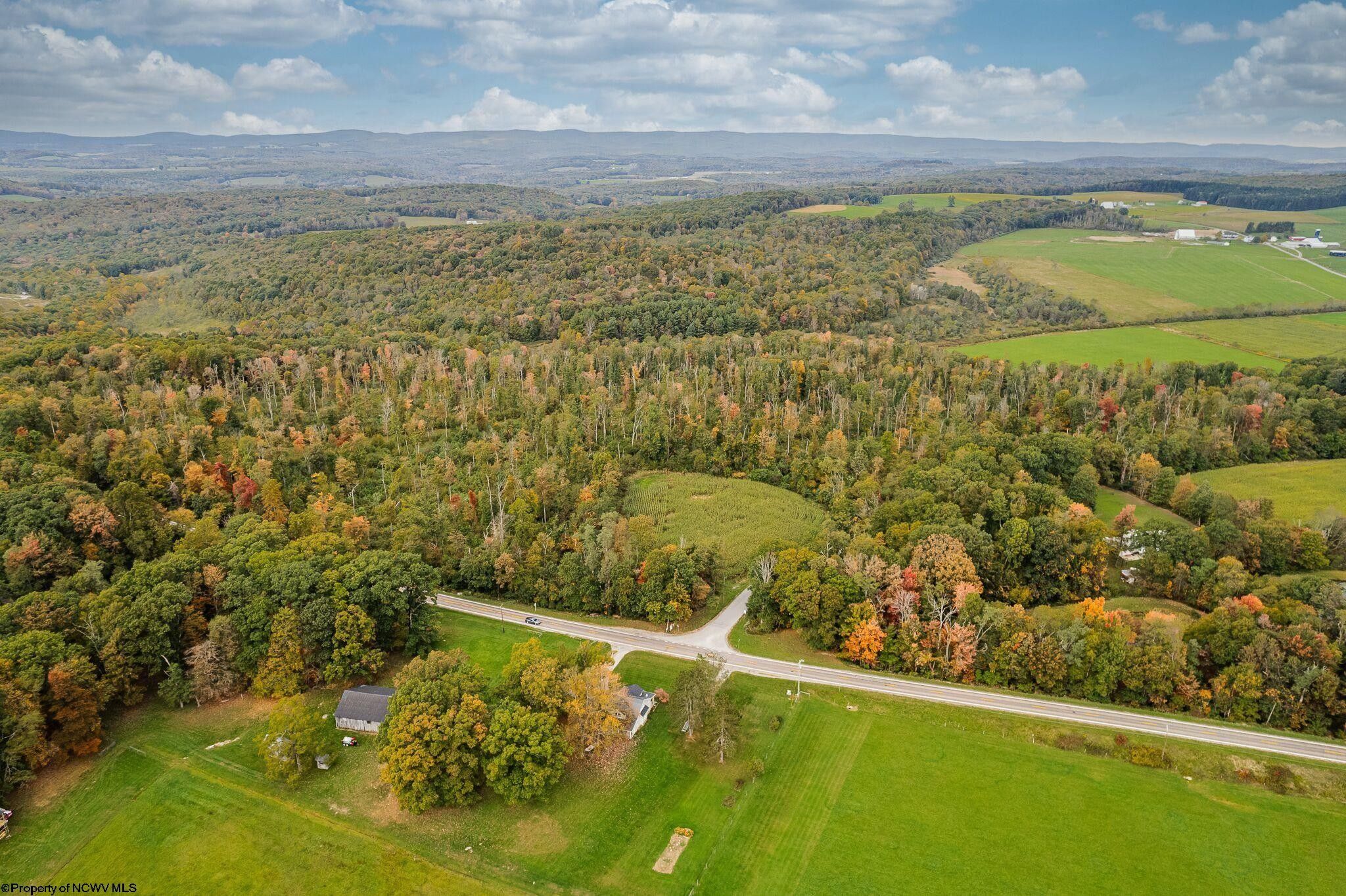Bruceton Mills, Preston County, WV Farms and Ranches for sale Property