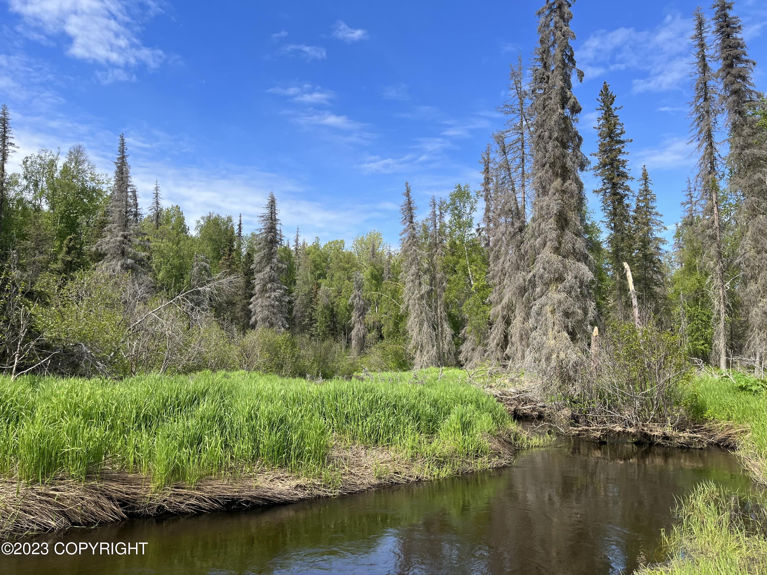Kenai, Kenai Peninsula Borough, AK Undeveloped Land, Homesites for sale