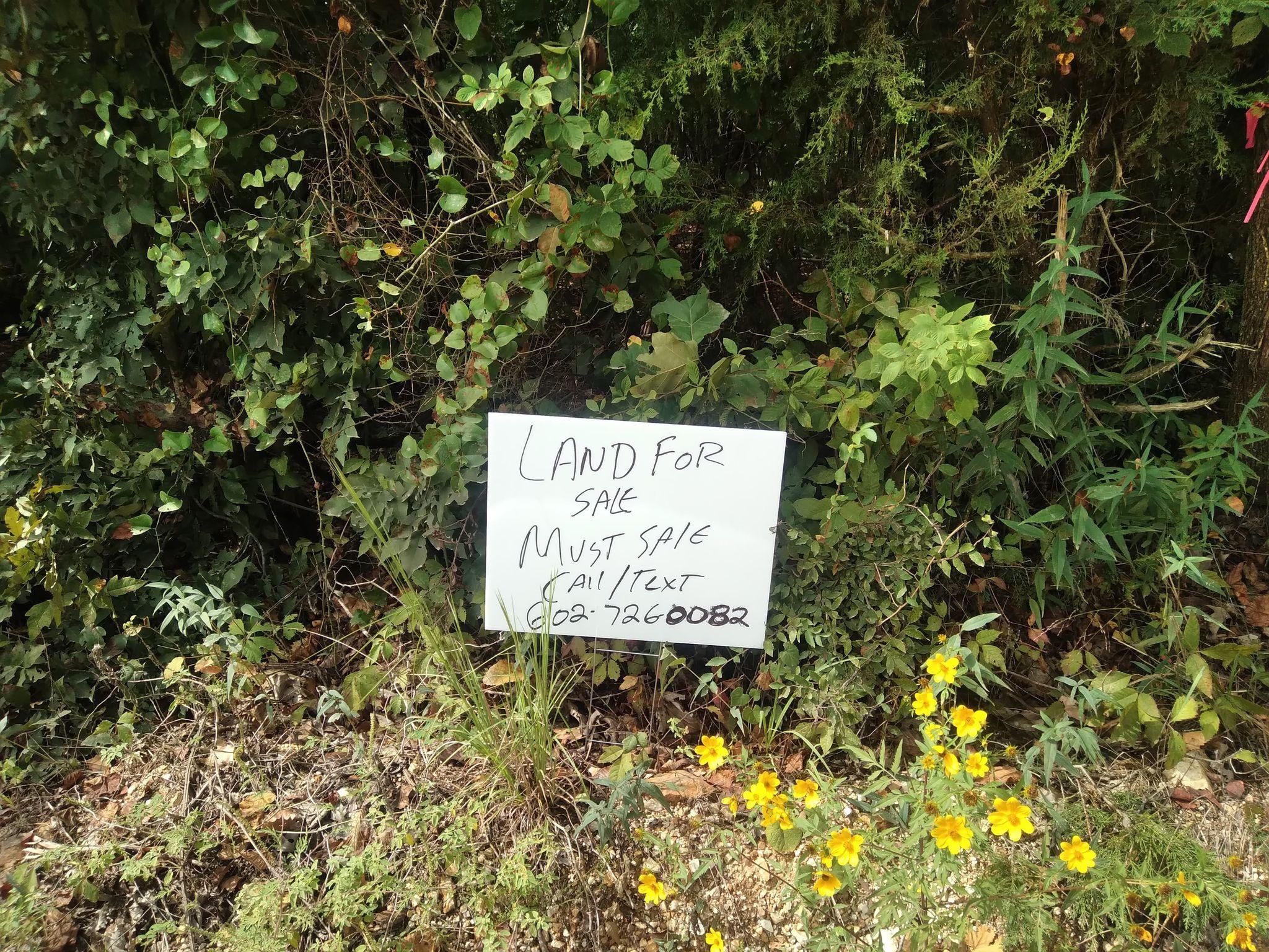 Glencoe, Fulton County, AR Undeveloped Land, Hunting Property