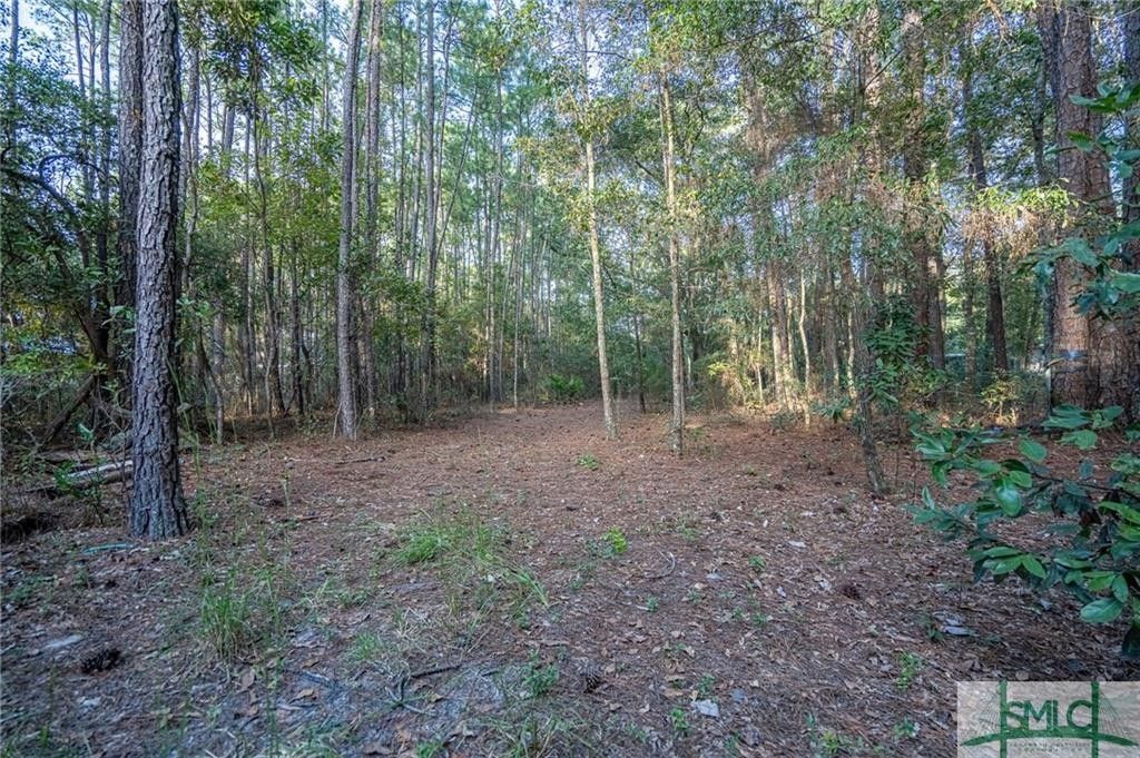 Guyton, Effingham County, GA Undeveloped Land, Homesites for sale