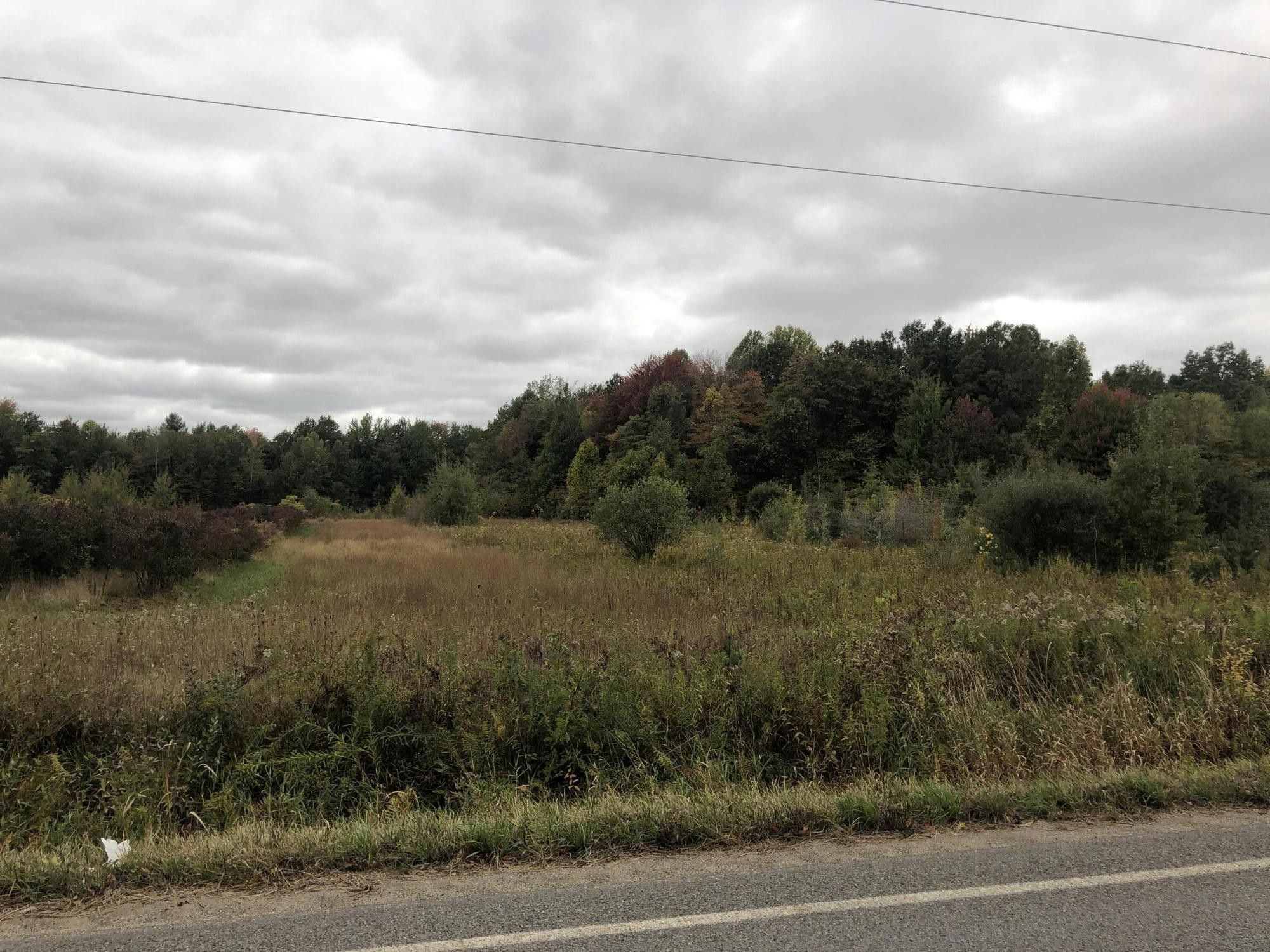 Grand Junction, Van Buren County, MI Undeveloped Land for sale Property