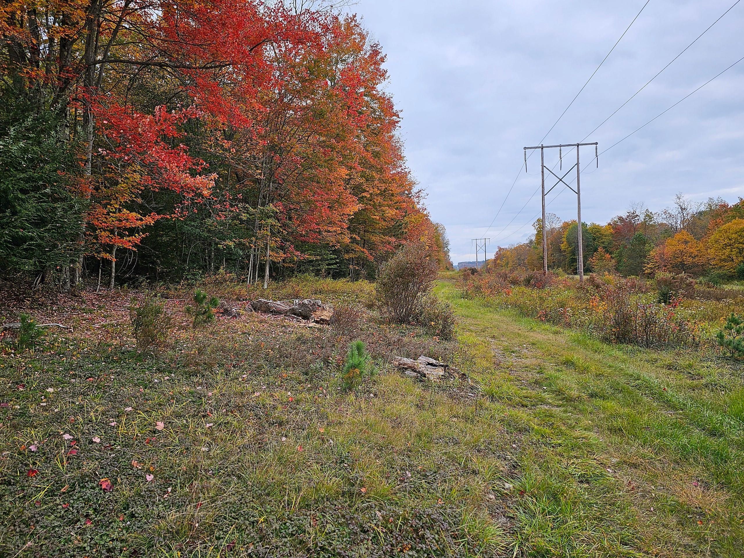 Cincinnatus, Chenango County, NY Recreational Property, Undeveloped