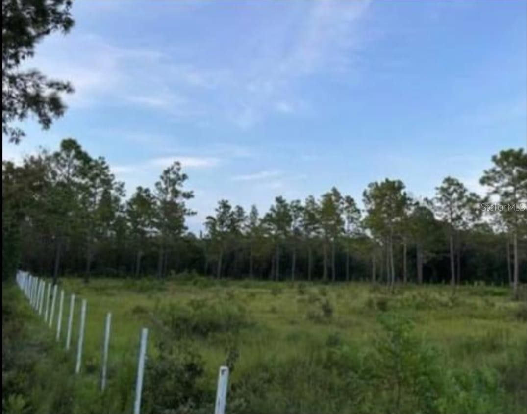 Ocala, Marion County, FL Undeveloped Land, Homesites for sale Property