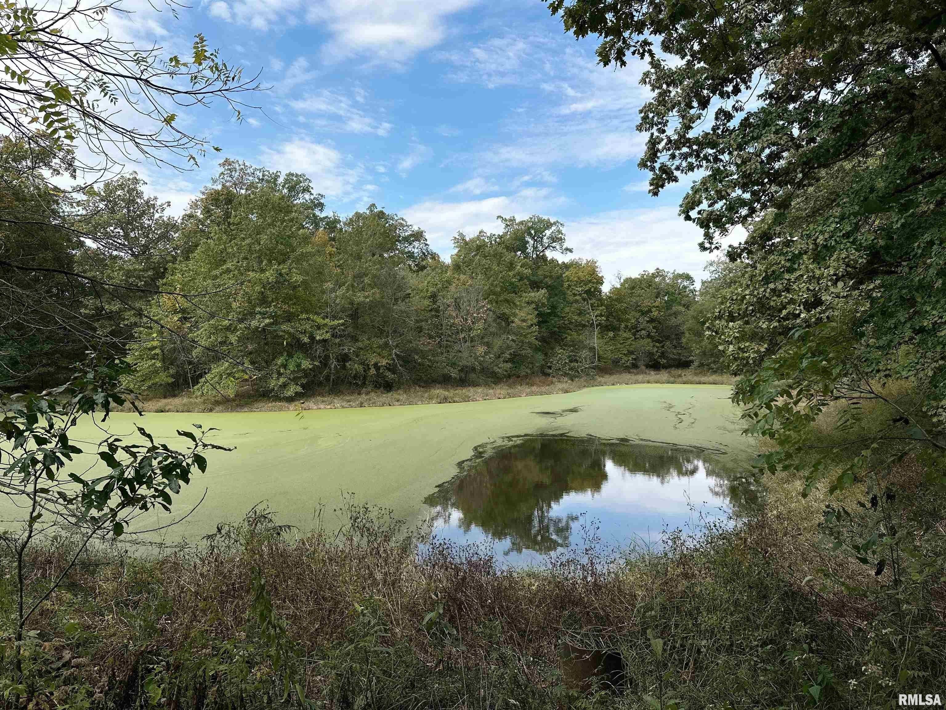Martinsville, Clark County, IL Undeveloped Land for sale Property ID
