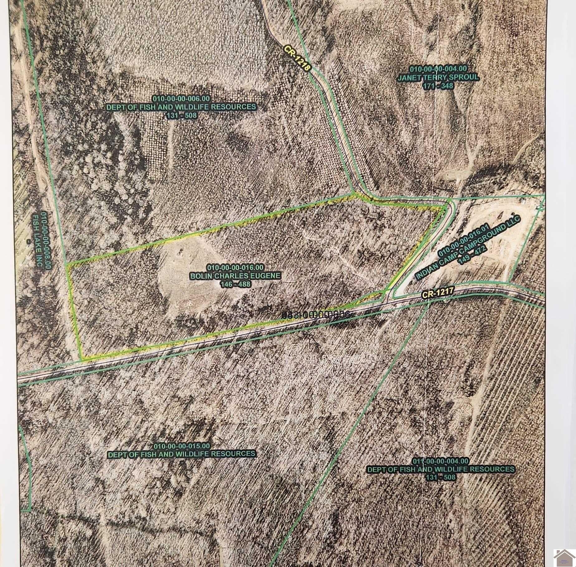 Arlington, Carlisle County, KY Undeveloped Land for sale Property ID