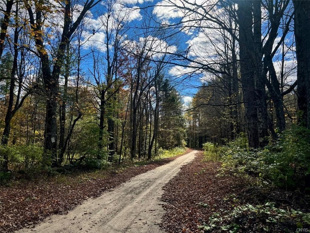 Stratford, Fulton County, NY Undeveloped Land for sale Property ID